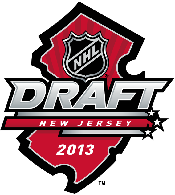 NHL Draft 2013 Primary Logo DIY iron on transfer (heat transfer)